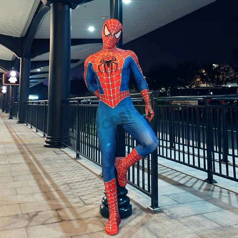 Spider Cosplay Kostüm Spinne 1