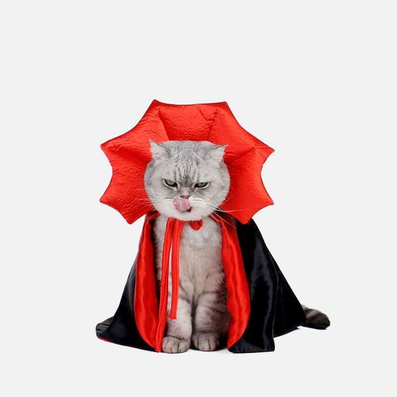 Cute Halloween Katzen Hunde Kostüm Cosplay 1