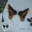 New Custom Halloween Furry Wolf Ear Headdress Simulation Anubis Hu Lang Ear Hair Hoop Beast Ear Cosplay Headband Accessories 9