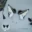 New Custom Halloween Furry Wolf Ear Headdress Simulation Anubis Hu Lang Ear Hair Hoop Beast Ear Cosplay Headband Accessories 5