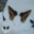 New Custom Halloween Furry Wolf Ear Headdress Simulation Anubis Hu Lang Ear Hair Hoop Beast Ear Cosplay Headband Accessories 7