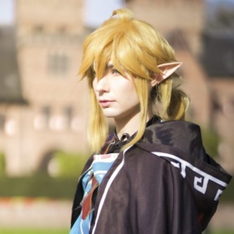 8 Cosplay Wigs und Anime-Perücken in verschiedenen Farben und Styles