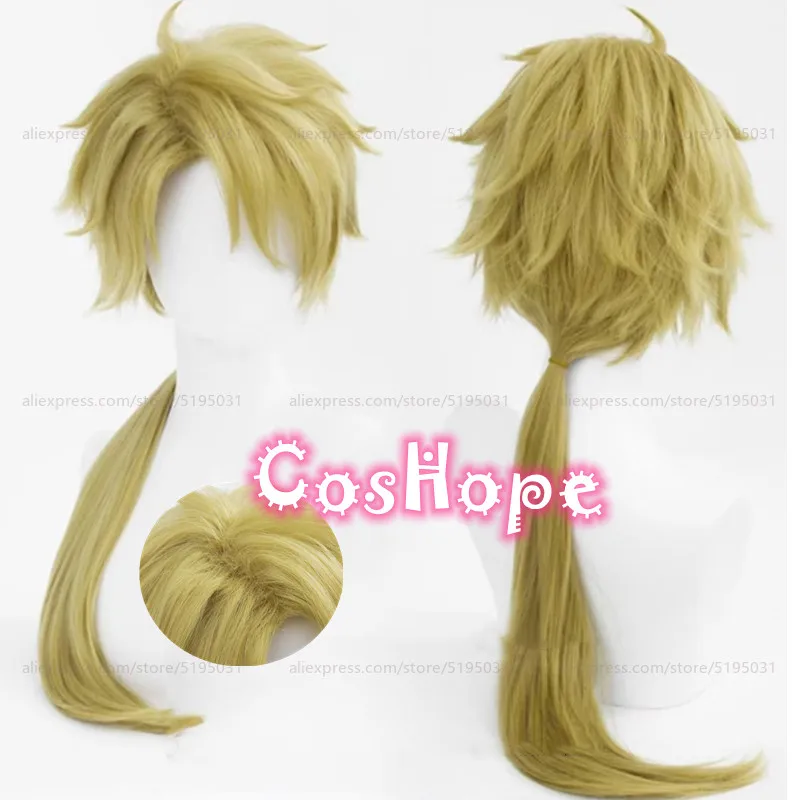 Kunikida Doppo Cosplay Wig 70cm Long Frizzy Wig Anime Cosplay Wigs Heat Resistant Synthetic Wigs 1