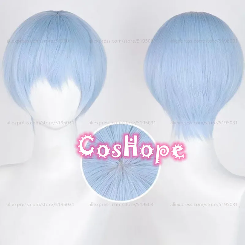 Himmel Cosplay Wig 30cm Short Blue Wig Cosplay Anime Cosplay Wigs Heat Resistant Synthetic Wigs Halloween 1