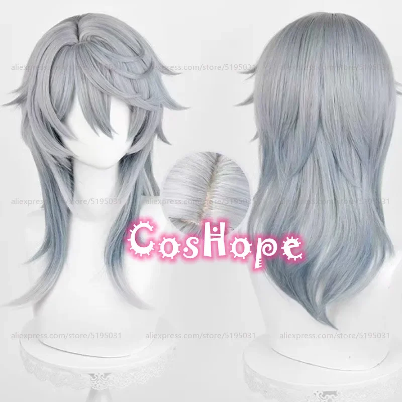 HSR Sunday Cosplay Wig With Ear Clips Gray Blue Gradient Wig Cosplay Anime Cosplay Wigs Heat Resistant Synthetic Wigs 1