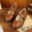 New Japanese Style Vintage College Student Shoes Cosplay Lolita Shoes for Women/Girls Uniform Shoes Platform Shoes 35-40 7